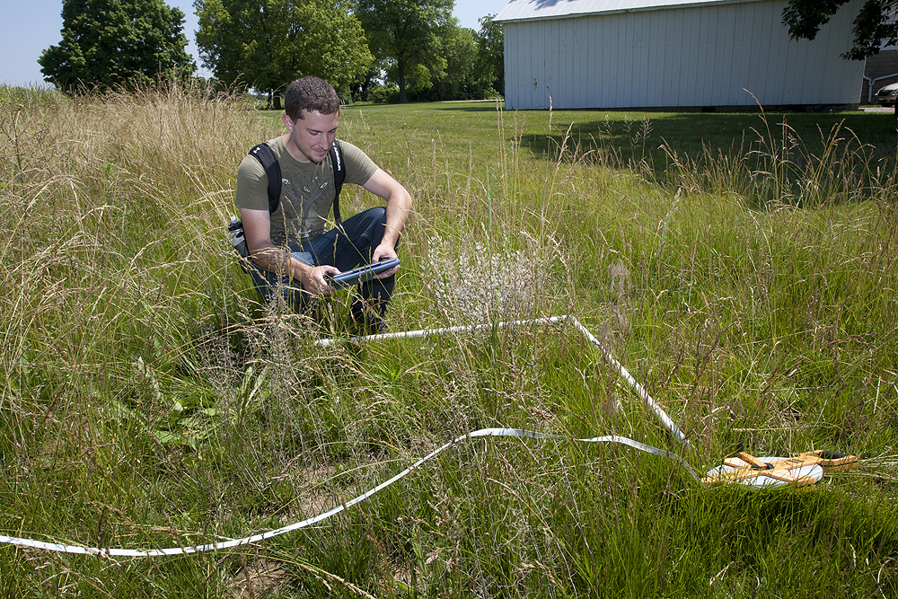 UC Center for Field Studies blends high-level science and deep-woods ...