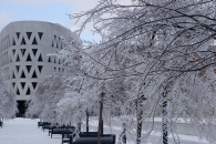 2007 Winter Scenes