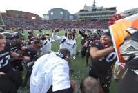 UC wins share of 2011 Big East title in football by beating Connecticut at Nippert Stadium Dec. 3, 2011.