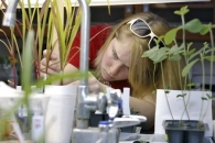 A student measures a plant.