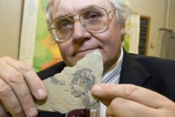 A professor displays a fossil.