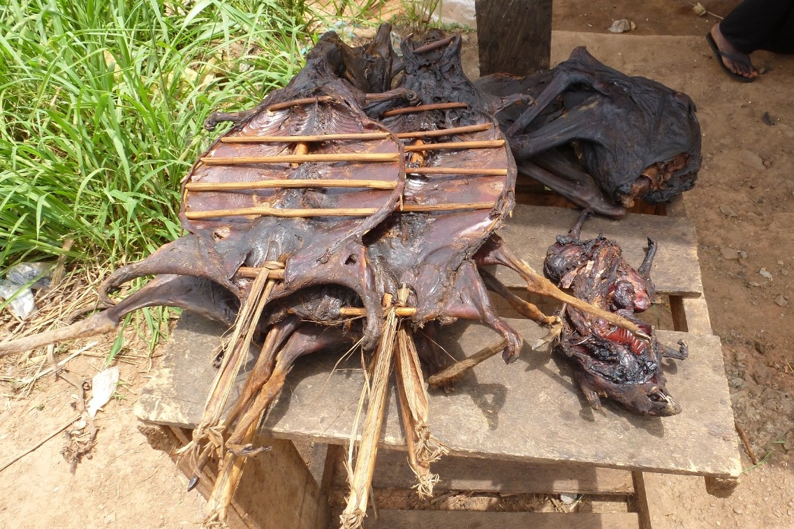 Cane rats and forest antelope are sold as bushmeat at a roadside stand in Senegal. (Wikimedia Commons)