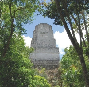 Temple 3 rising out of the tropical forest that now enshrouds Tikal.