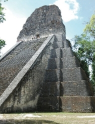 Tikal Temple 5 standing tall.