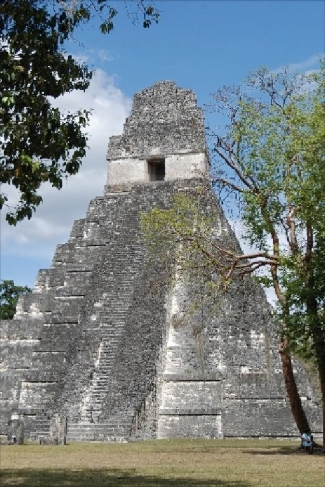The large stone temple #1 in Maya, Tikal, Guatemala.
