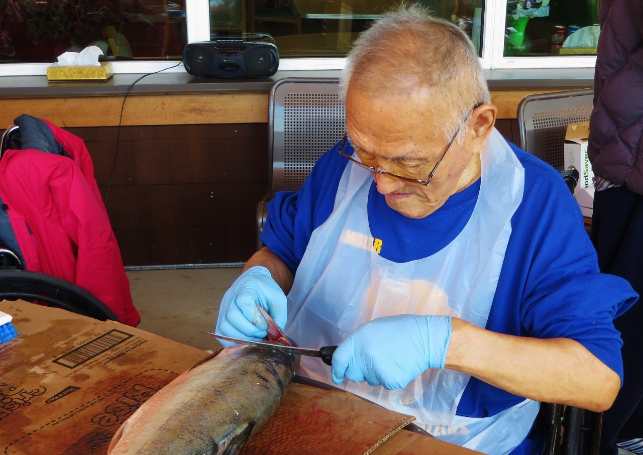 An elderly resident of Kotzebue, Alaska, cleans a fresh salmon.