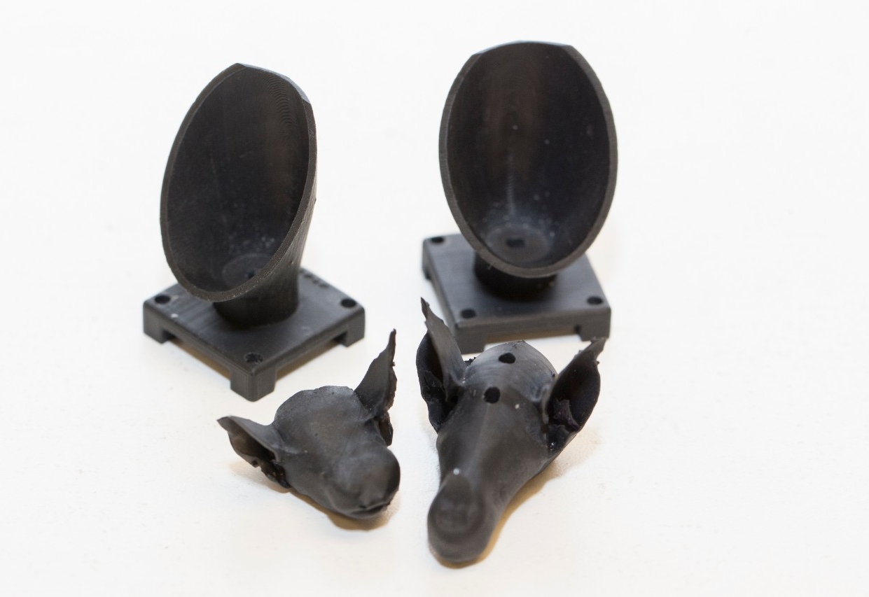 UC professor Dieter Vanderelst created 3-D models of bat heads to inspire his robot designs.