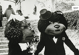 Kent created the male and female Bearcats in the '70s that married in front of the student body. 