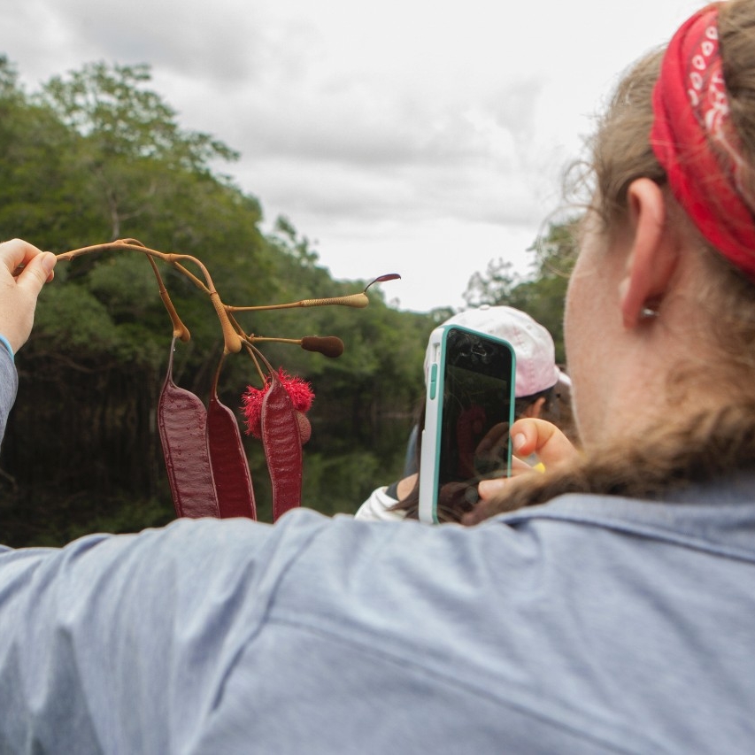 Student photographs a tree branch in the Amazon.