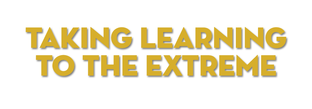 Taking Learning to the Extreme