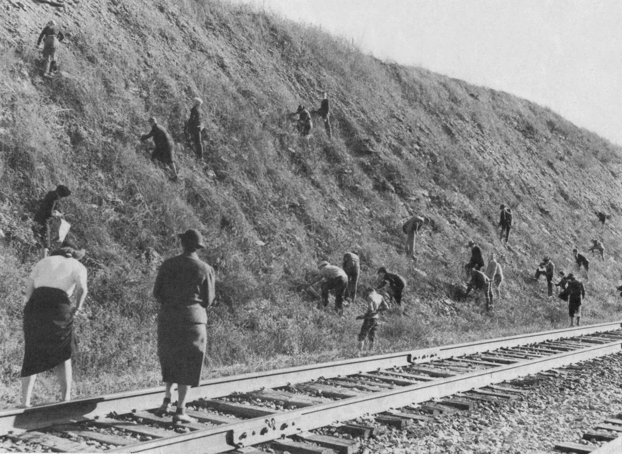 UC geology professors and students, above, collect specimens at a railroad site in Berea, Kentucky, in this 1938 photo. Organizers of these outings formed the Cincinnati Dry Dredgers. (Cincinnati Dry Dredgers photo.)