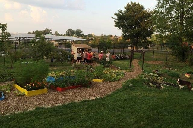 Students help out at UC's organic garden.