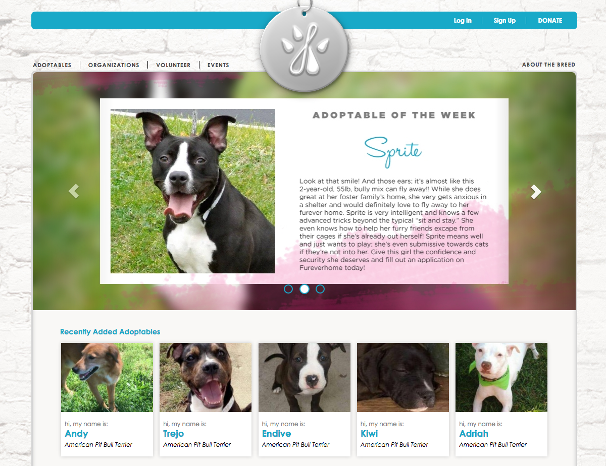 Image of the website fureverhome.com