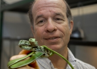 UC biologist Bruce Jayne holds a vine snake right up to the camera in his lab on the campus of the University of Cincinnati.