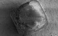 A multi-magnified grain of salt with the University of Cincinnati logo