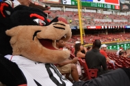 15 ways UC Is a baseball All-Star in honor of Cincinnati hosting the 2015 All-Star Game