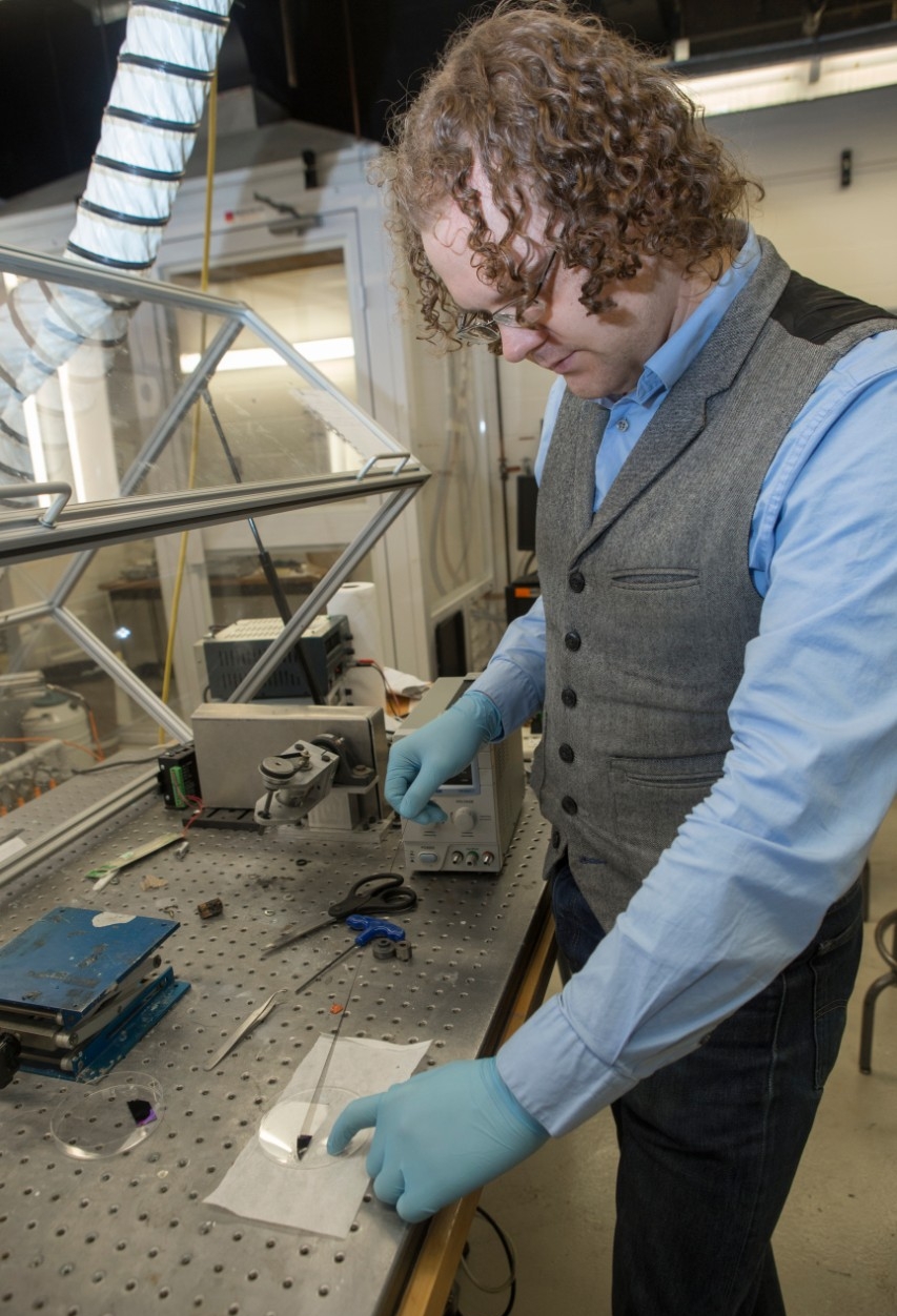 Phd thesis carbon nanotubes