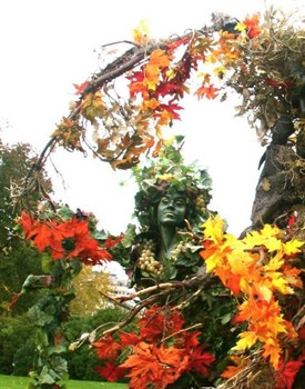 Determining where the person is in this foliage is difficult without a close-up.