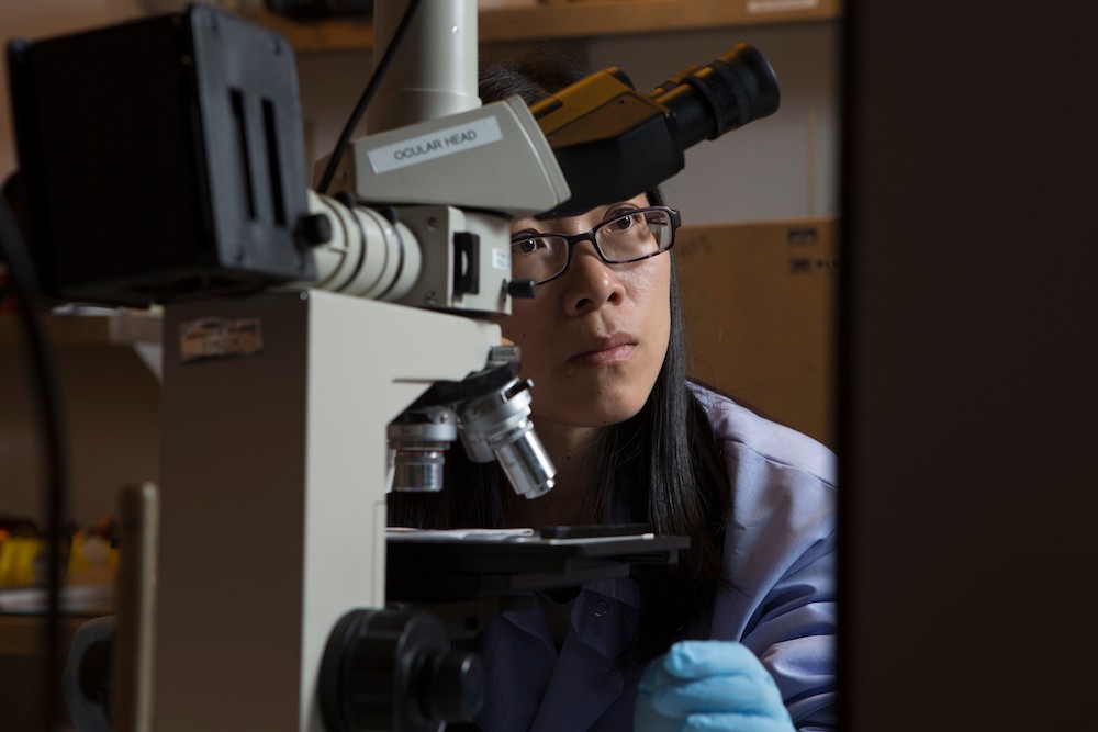 UC researcher at a microscope.