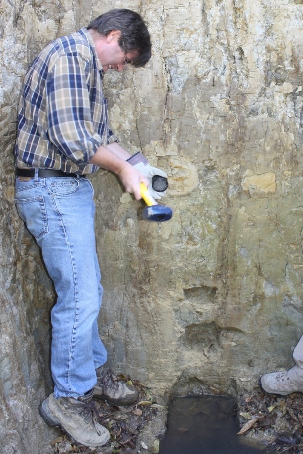 UC professor Lewis Owen collecting sediment samples at Big Bone Lick, Kentucky.