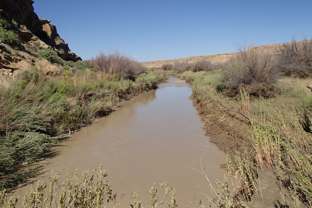 Waterway surrounded by desert brush in Chaco Wash, New Mexico.