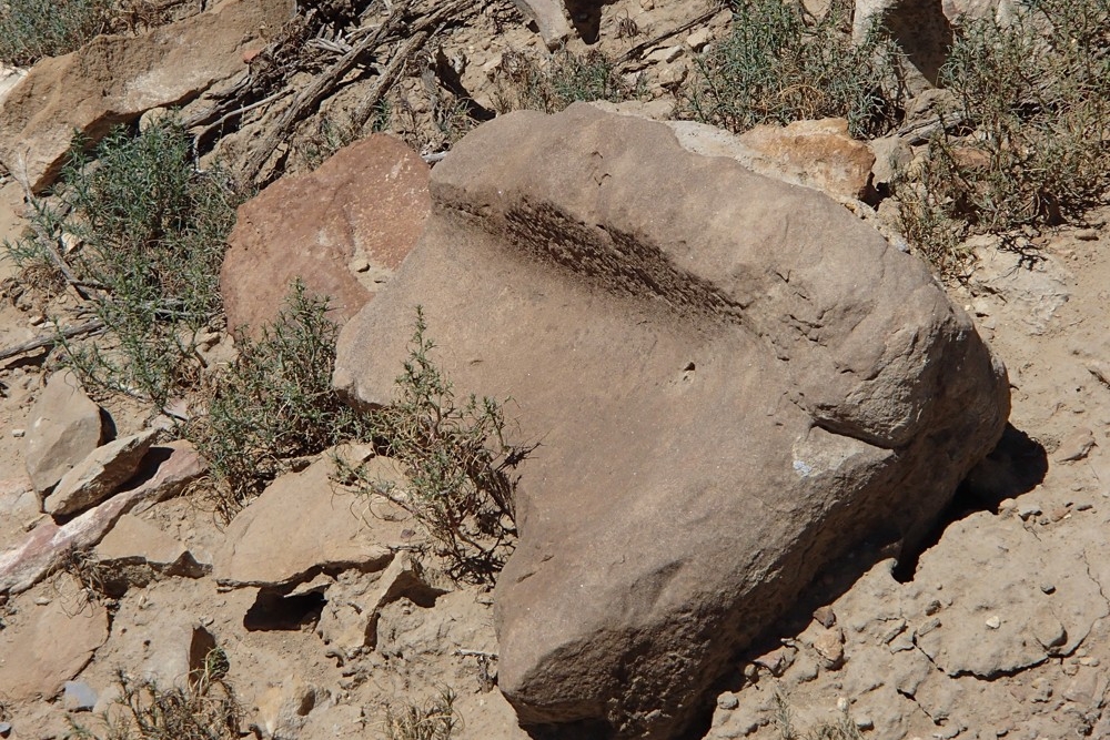 Large smooth ancient stone used to grind corn in Chaco Canyon, New Mexico.
