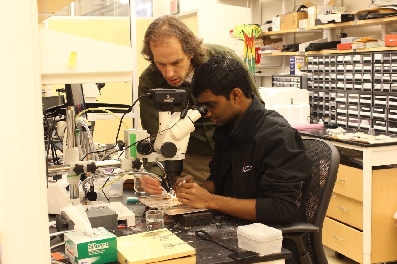Daniel Wagenaar and Arun Kumar look into microscope