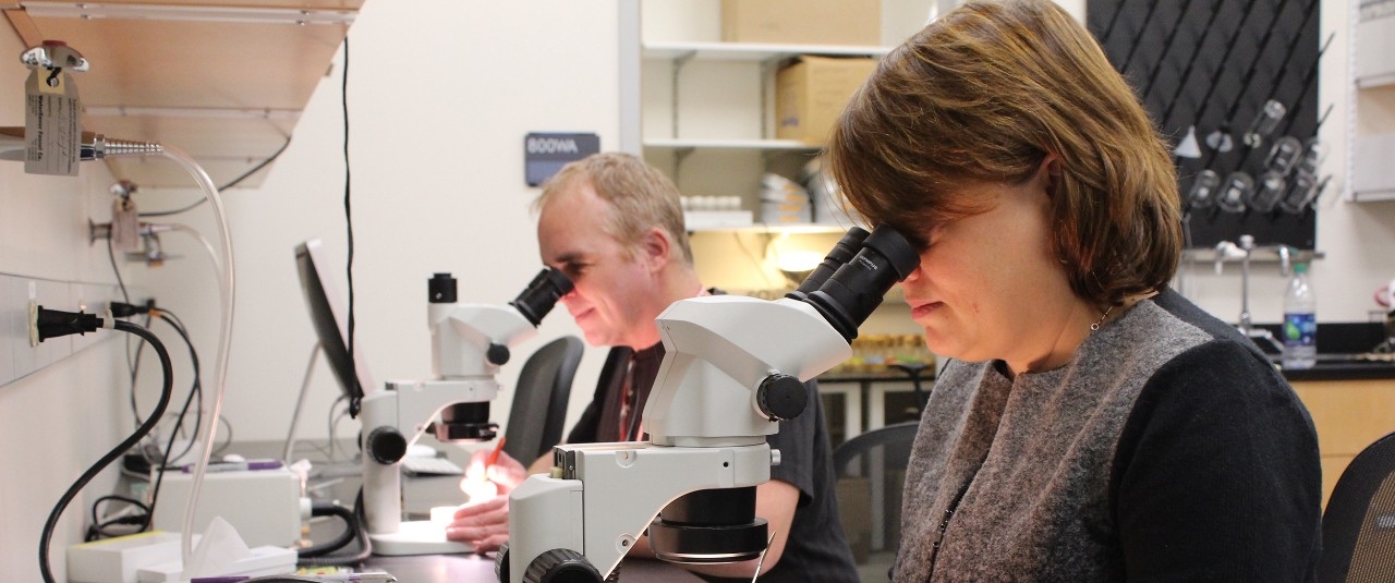 John Layne and Stephanie Rollman working at microscopes