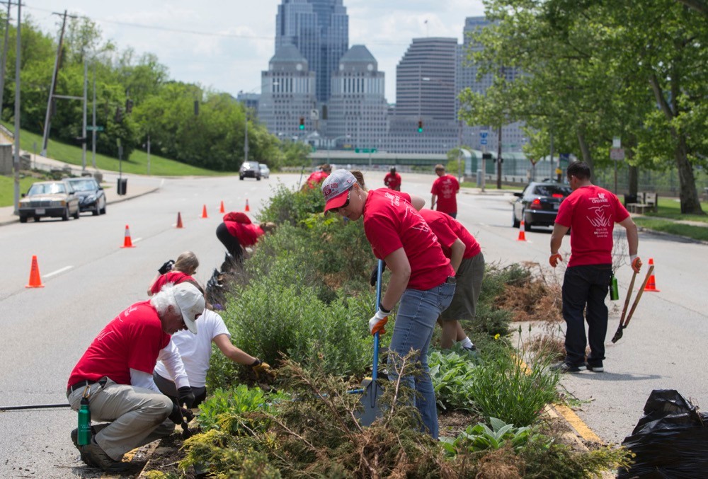 Men and women in red T-shirts dig weeds from a median along Gilbert Avenue.