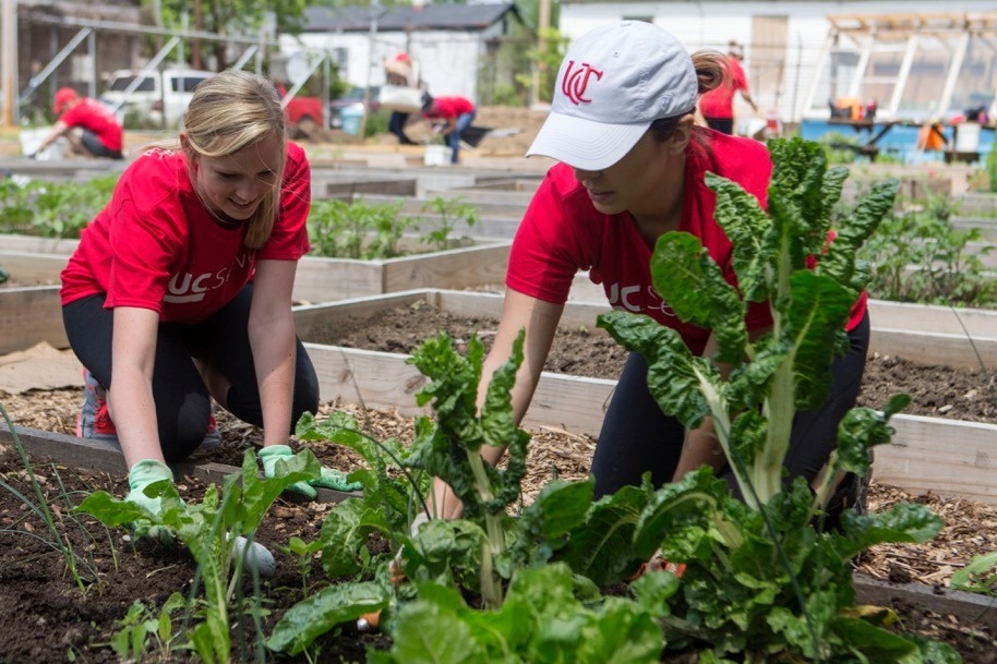 Two women plant vegetables in a raised garden bed inside a local community garden.