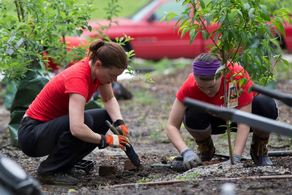 Two UC women stoop near the ground as they plant trees in a local Cincinnati nature garden. photo/Joseph Fuqua II/UC Creative Services