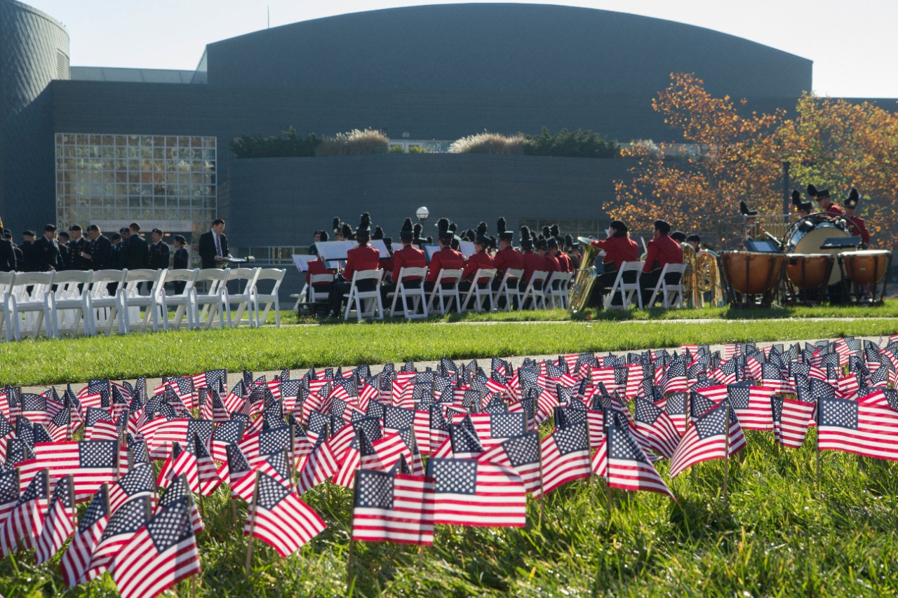 Flags in the lawn. 