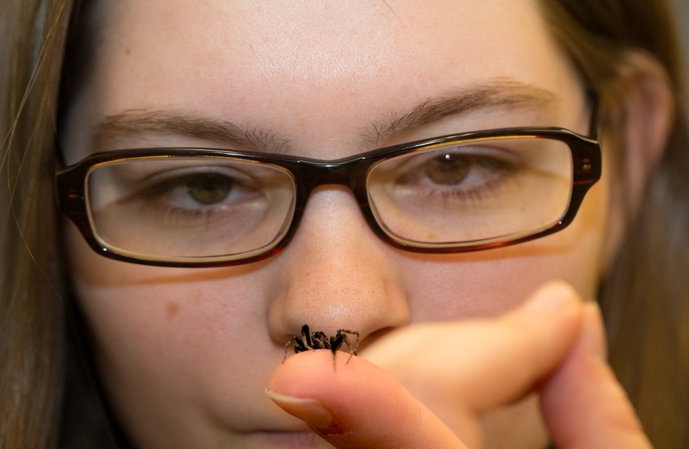 UC biologists are studying the mating behavior of wolf spiders to learn more about how closely related species evolved.