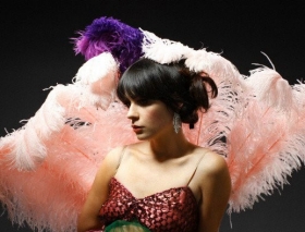 Zooey Deschanel dressed in a feathery dance outfit.