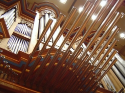 Pipes from Toyota City organ