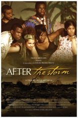 Video cover of "After the Storm" documentary
