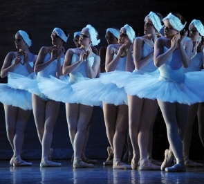 Performance of Swan Lake.