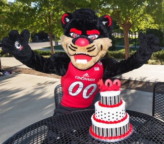 The University of Cincinnati Bearcat mascot celebrates his 100th birthday with a 3-tiered red-black-and-white cake.