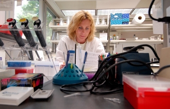 Kidney cancer researcher Maria Czyzyk-Krzeska hard at work in her laboratory.