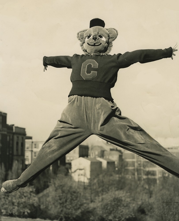 A person dressed as the University of Cincinnati mascot Bearcat leaps in the air