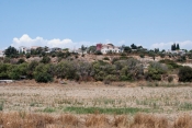 In the village of Episkopi, the red building in the center is the library, and the cedar trees at the far right stand in the gardens of the museum where Walberg's team often works.