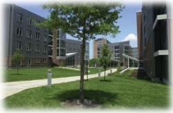 Jefferson Residence Complex is surrounded by green spaces.