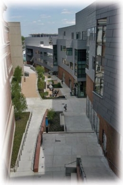 The Mews open space, running between the Steger Student Life Center on the right and the engineering buildings on the left, is an intimate setting for conversation or a relaxing lunch.