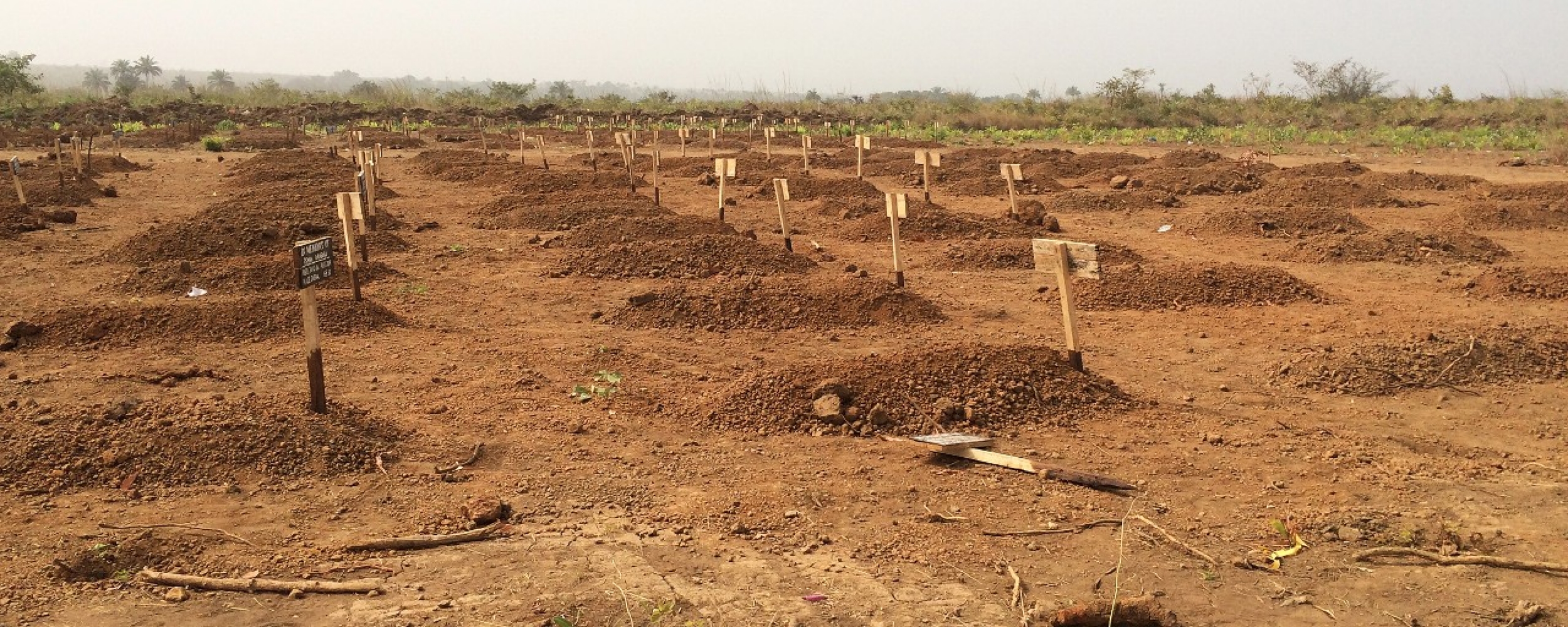 A far-too common site in Sierra Leone of many graves of those who succumbed to the Ebola virus.