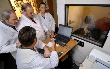 A group of doctors gather around a hearing test/audio room and watch a canine test through the window.
