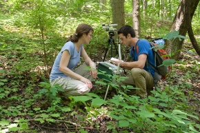 Two UC students crouch in the woods examining high-tech equipment at the UC Center for Field Studies.
