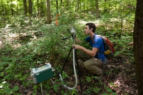 UC Student Eli Williams squats in the woods to view high-tech equipment that measures instantaneous photosynthetic rates of invasive honeysuckle.